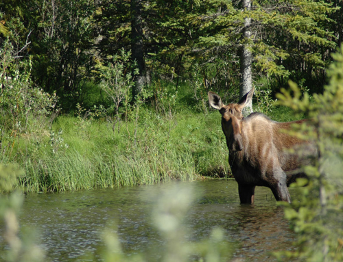 Aboriginal Tourism BC and Northern BC Tourism MOU