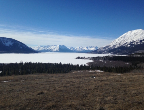 Bennett Beach Resort