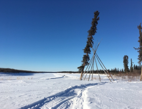 Gwich’in Cultural Experience