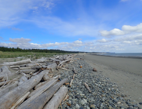 HaiCo – Haida Tourism