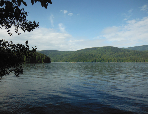 Ditidaht First Nation