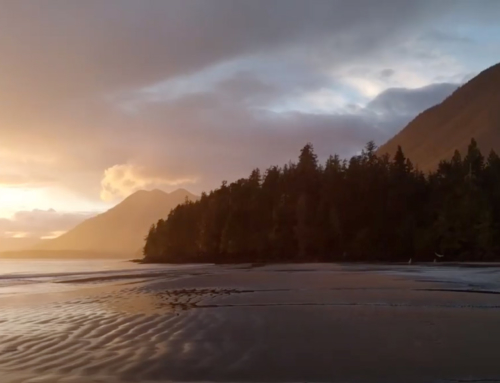 Ahousaht Hereditary Chiefs