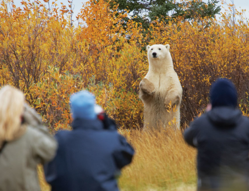 York Factory First Nation Property Acquisition Review